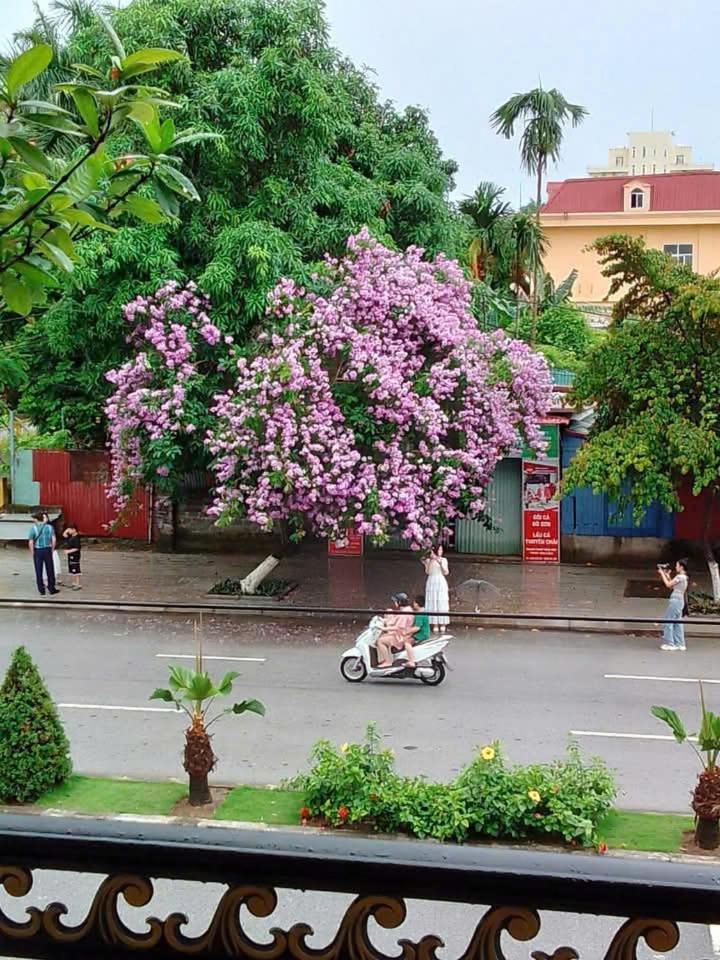Quang Minh Hotel Đồ Sơn Ngoại thất bức ảnh